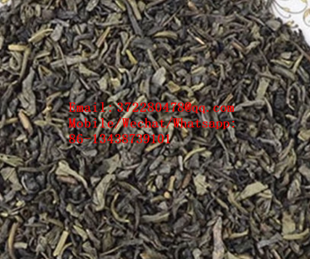 chinese chunmee green tea 41022AAA (1).png