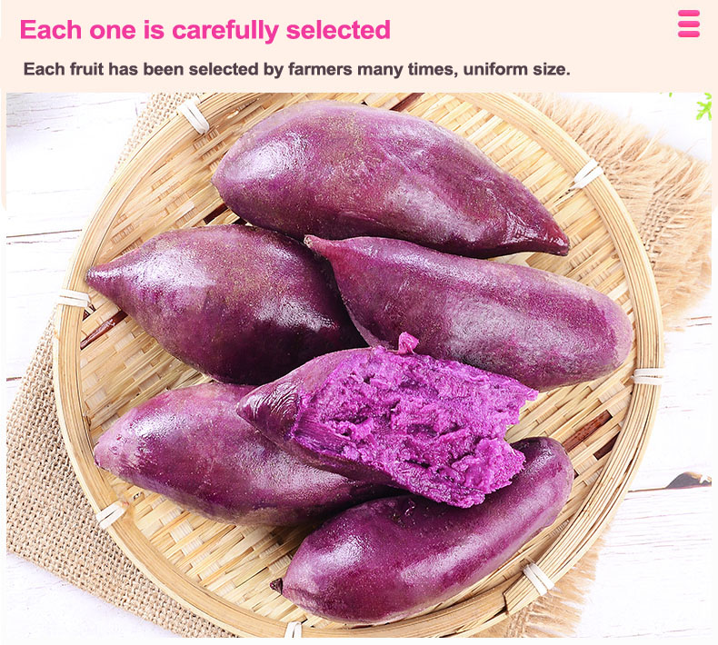 9875-2aa.jpg
