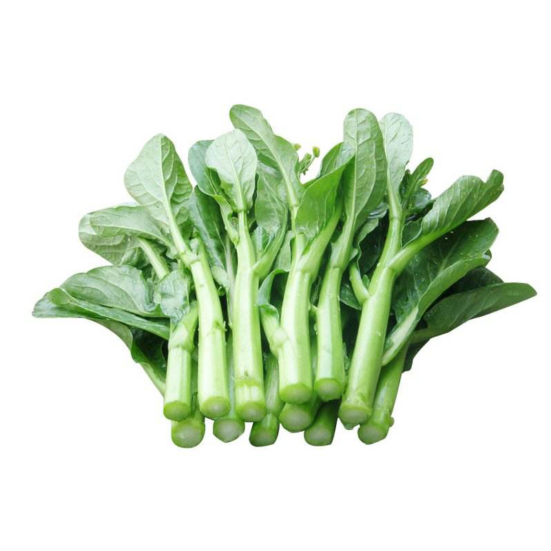 菜心77.jpg 菜心77.jpg