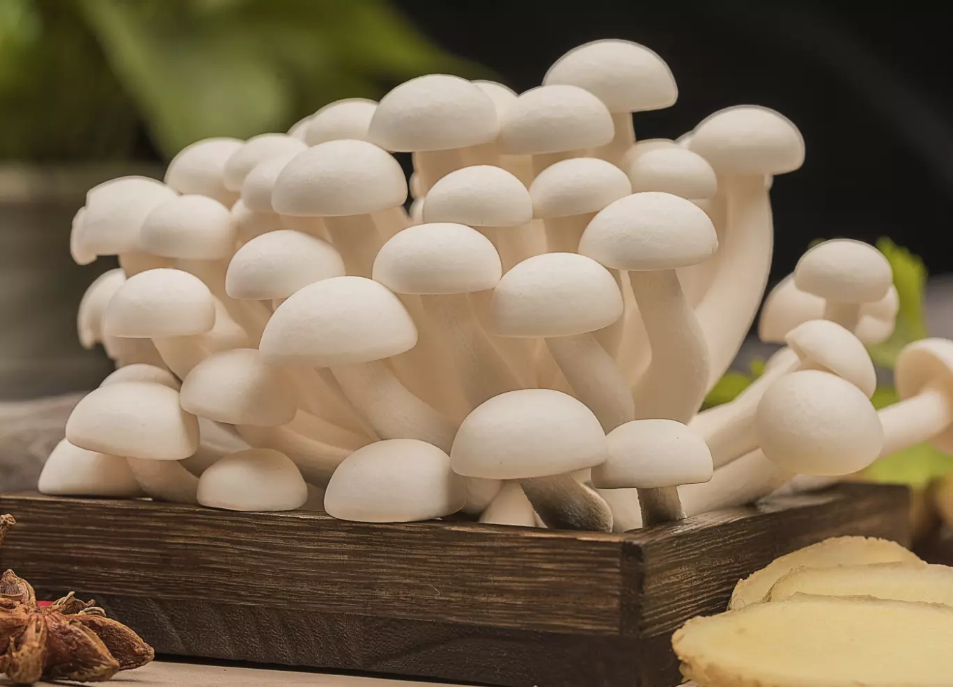 White Bunashimeji White beech shimeji mushrooms Hot Sale Chinese Mushrooms