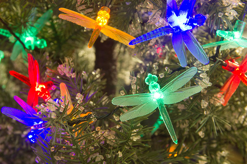 Multi Colour LED Dragonfly Lights.png Multi Colour LED Dragonfly Lights.png