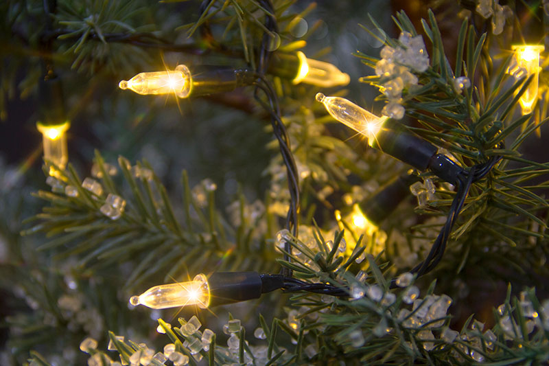 Warm White LED Fairy Lights.png Warm White LED Fairy Lights.png