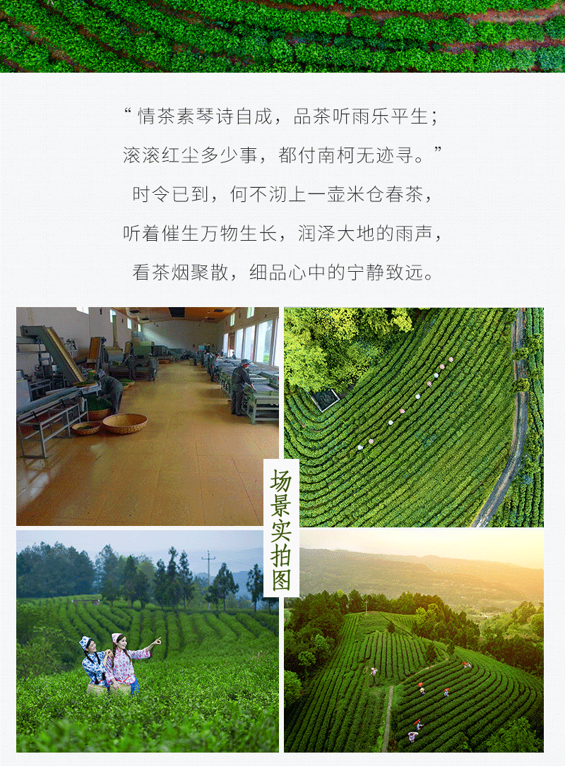 7.gif