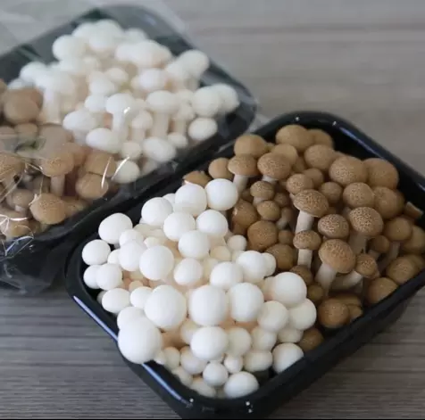 2020 Hot Sale Supermarket 200g Fresh White Shimeji with Brown Shimeji mushroom packed in one individual box