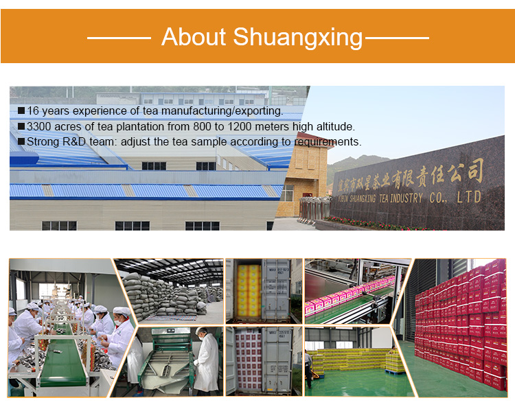 Gree tea exporter CHUNMEE 9368 Libya AZ ZAWIYAH BARDIA the vert de chine