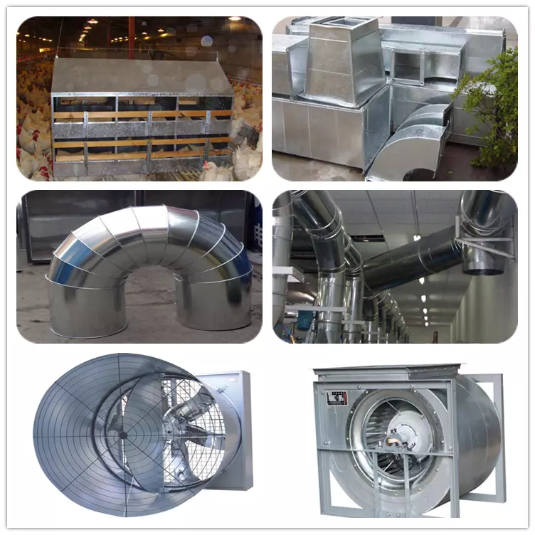 Factory Directly Supply hot dipped galvanized steel price DX51D Z275g galvanized steel coil