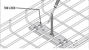 image (1).jpg