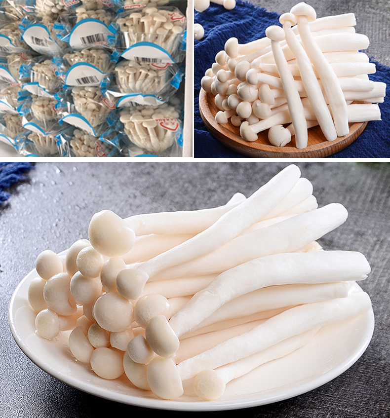 白玉菇5.jpg