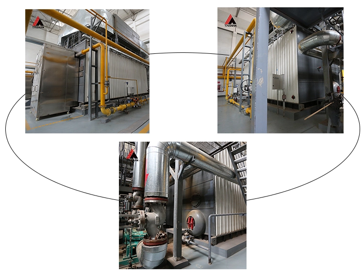 Fire Tube Gas Steam Boiler