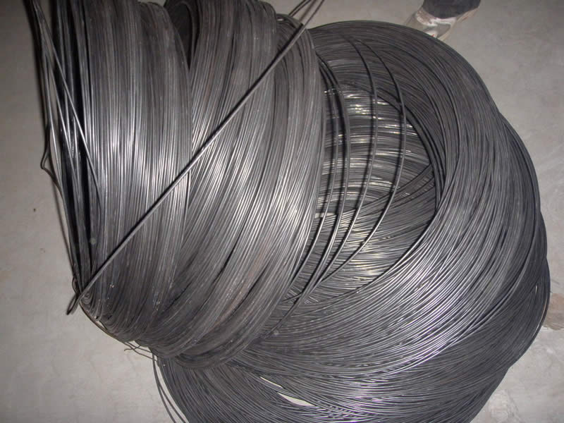 Black Iron Wire 039.jpg Black Iron Wire 039.jpg