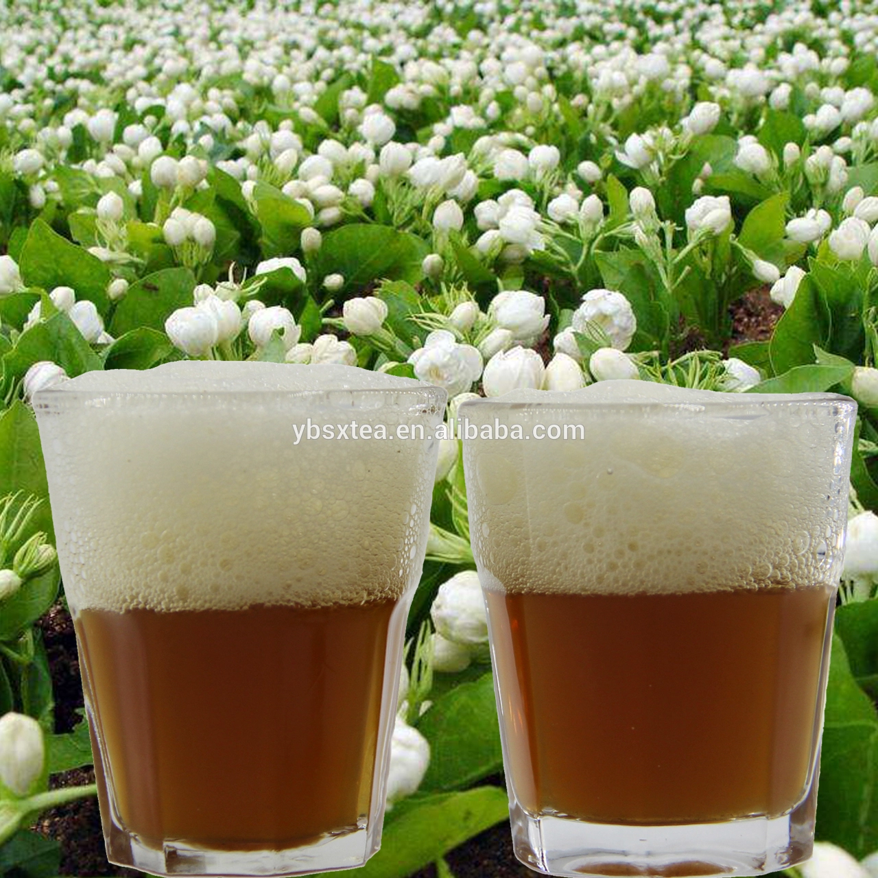the vert de chine TALDYKORGAN JASMINE TEA for Africa Chunmee tea China gree tea cheap price
