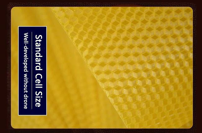 Grade A type Beeswax foundation sheet for Beekeeping 1