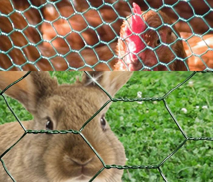 Poultry Netting 007.jpg