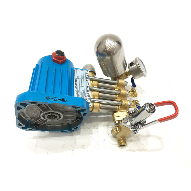LS-725 pump (2).jpg