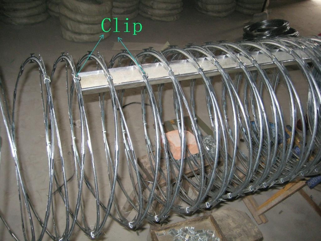 Razor Barbed Wire 013.jpg