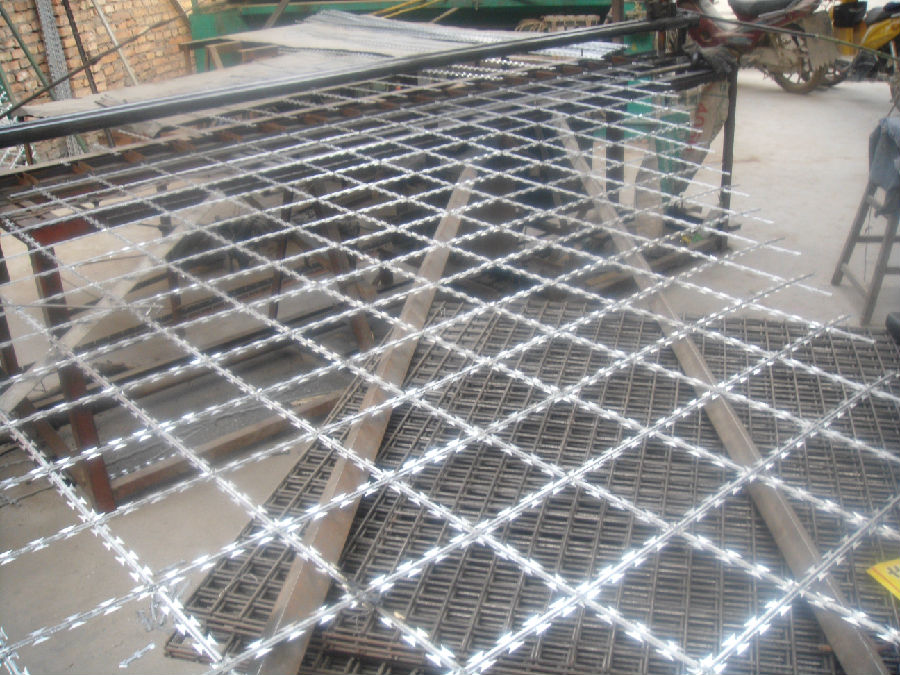 Razor Barbed Wire 016.jpg