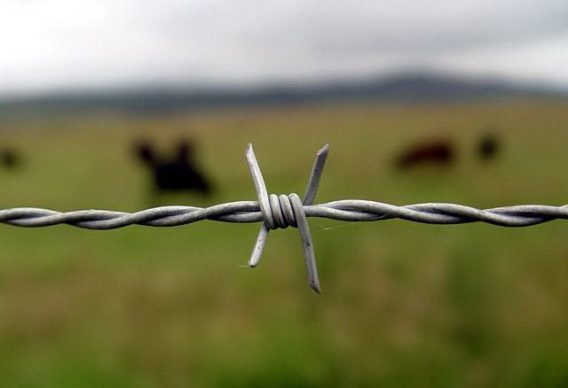 Barbed Wire 003.jpg Barbed Wire 003.jpg