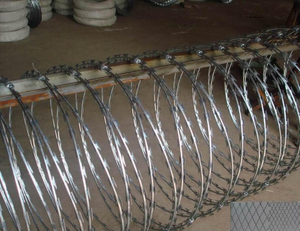 Razor Barbed Wire 003.jpg Razor Barbed Wire 003.jpg