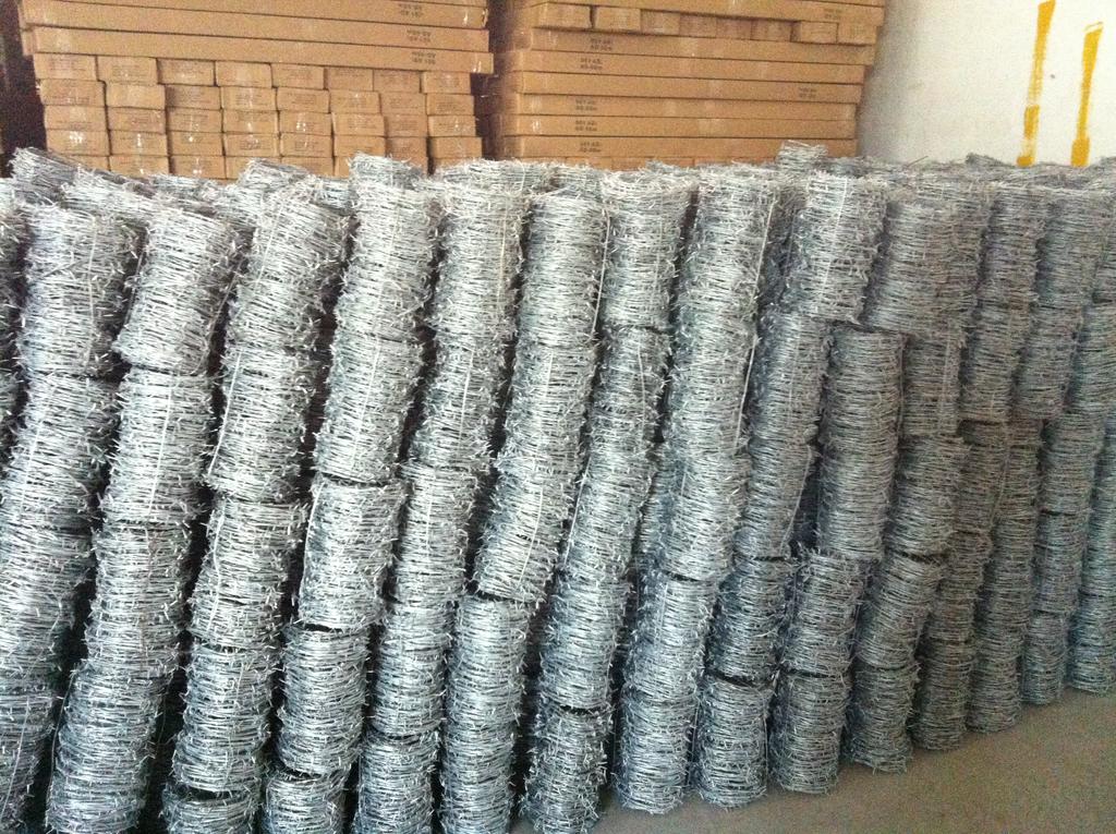 Barbed Wire 007.jpg Barbed Wire 007.jpg
