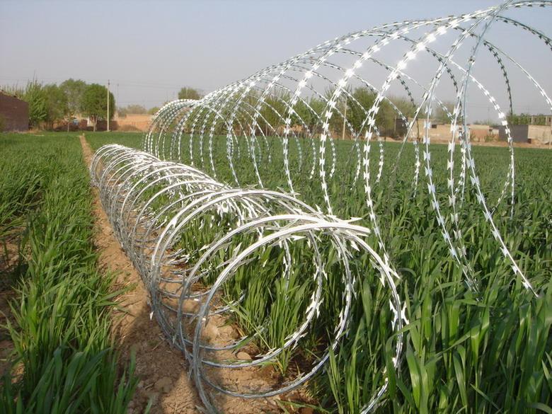 Razor Barbed Wire 010.jpg Razor Barbed Wire 010.jpg