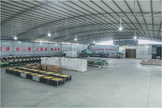 factory.jpg