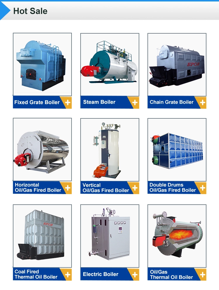 China Best Quality Chain Grate Water Tube Coal Fired Steam Boiler