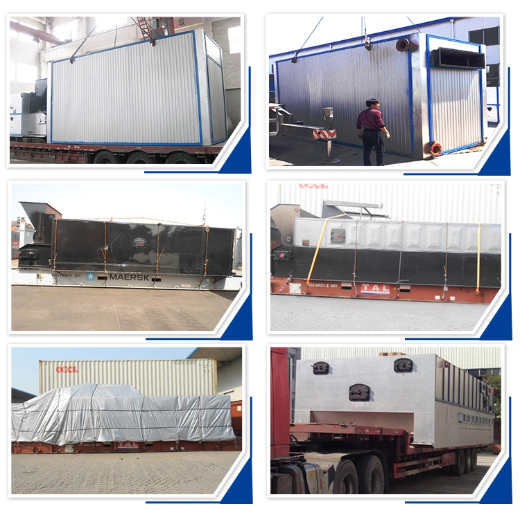 Chinese Thermal Oil Boiler 5 Ton Biomass Boiler For Food Plant