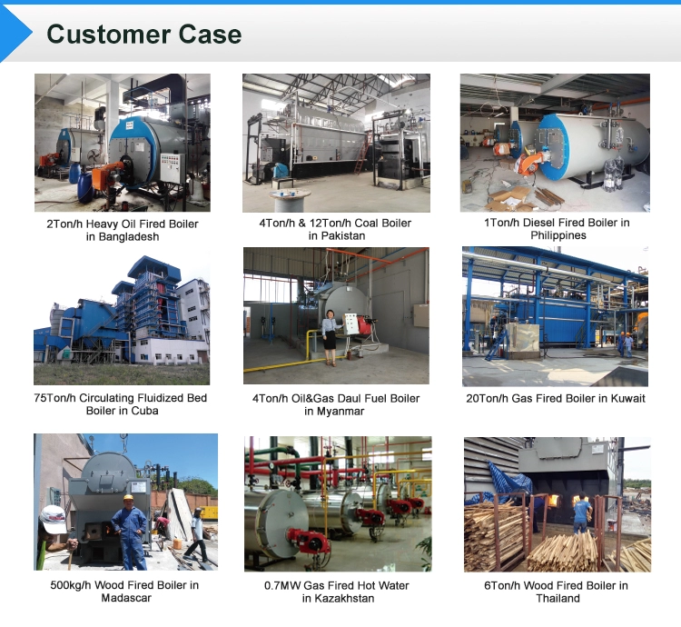 EPCB Fully Automatic Industrial Natural Gas Fired Thermal Hot Oil Boiler