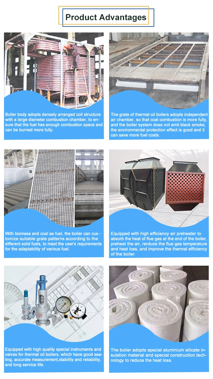 Chinese Thermal Oil Boiler 5 Ton Biomass Boiler For Food Plant
