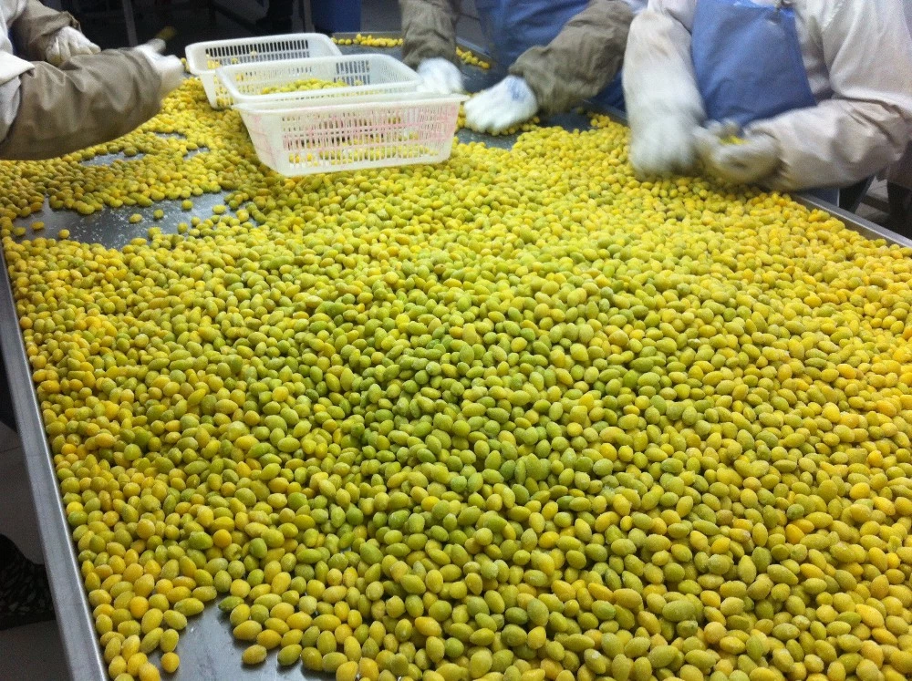 frozen ginkgo nuts(gingko)