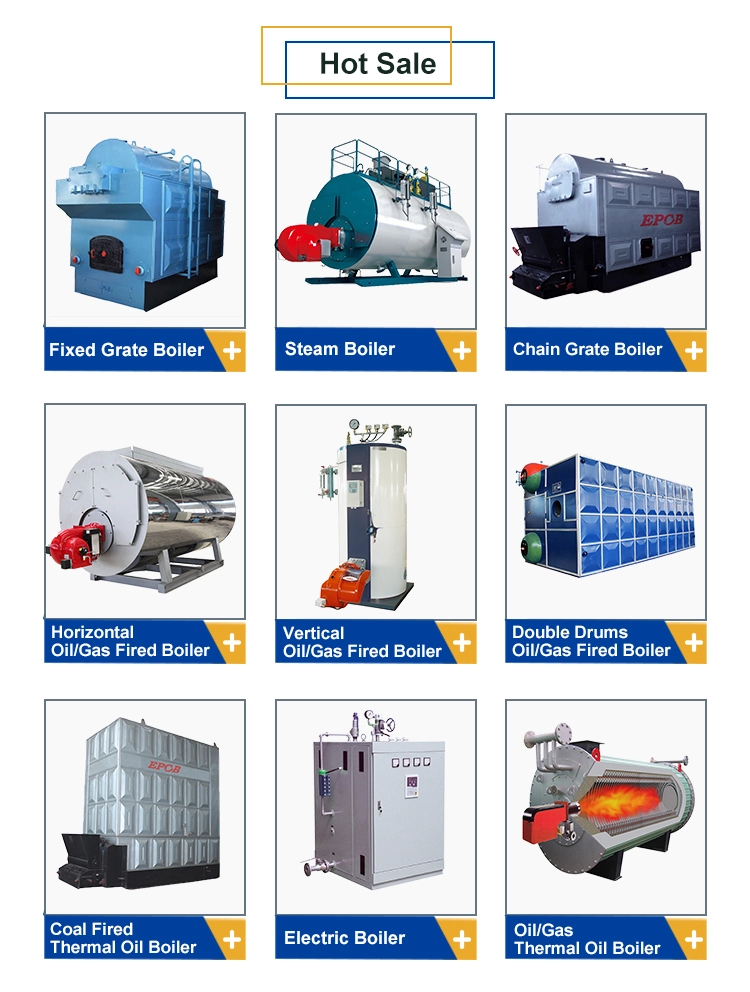 Chinese Thermal Oil Boiler 5 Ton Biomass Boiler For Food Plant