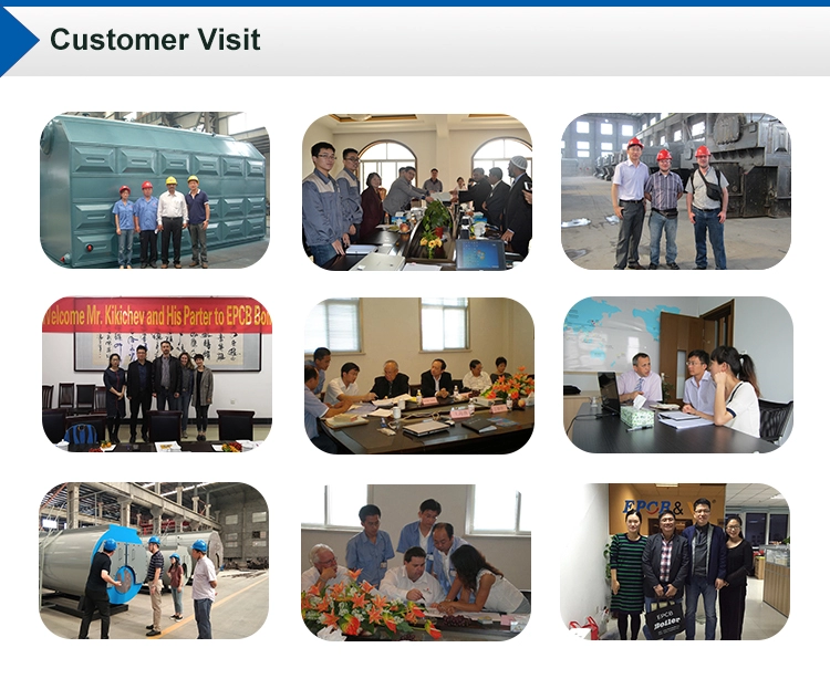Chinese Thermal Oil Boiler 5 Ton Biomass Boiler For Food Plant
