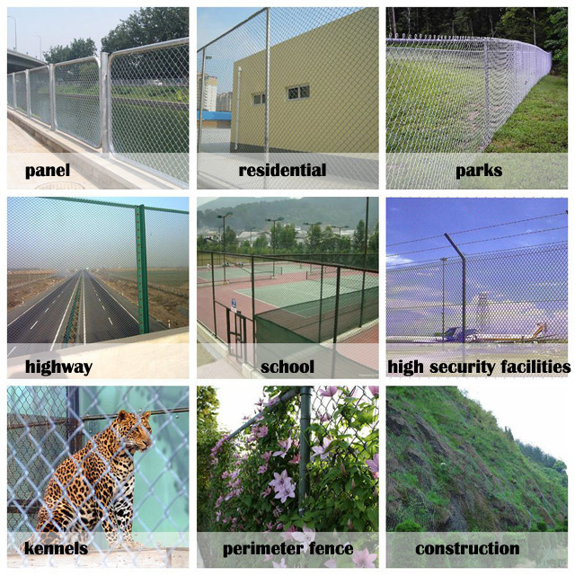 Chain Link Fence .jpg