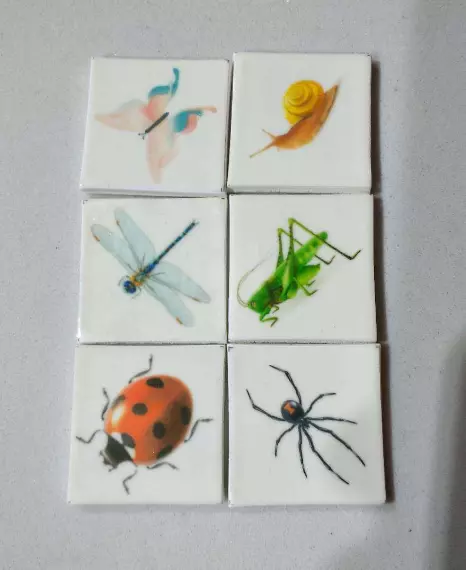 transparent color edible paper