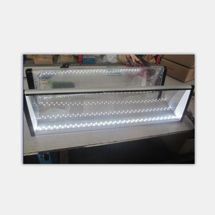 inside light.jpg