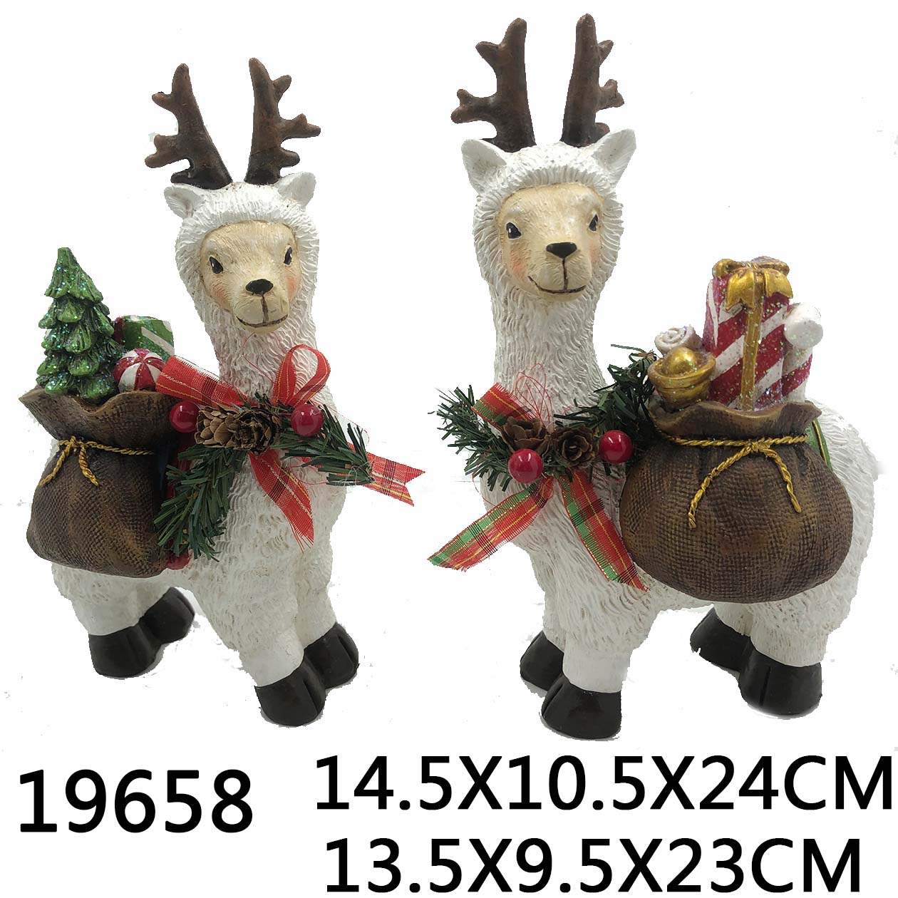 SY19658.jpg