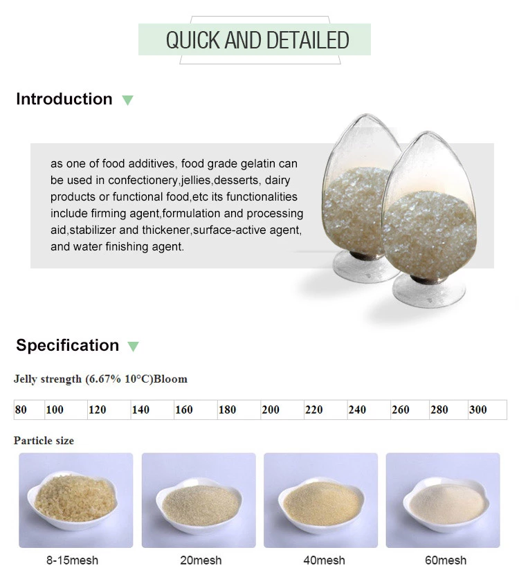bulk unflavored edible gelatin powder nice price