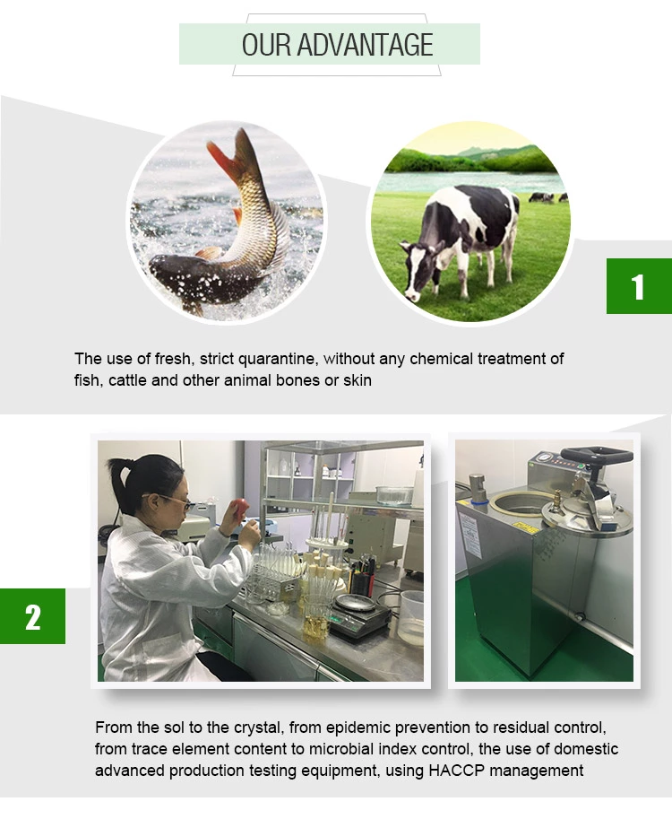 Manufacture good quality pharmaceutical grade gelatin powder