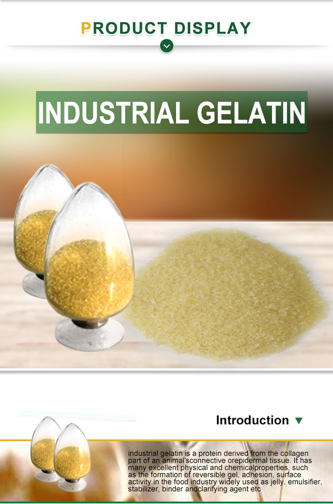 for sandpaper and textile industrial technical gelatin powder