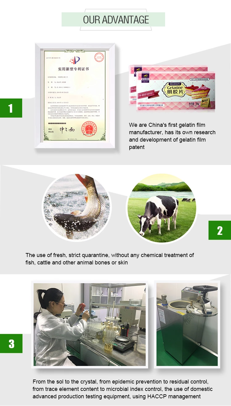 bulk unflavored edible gelatin powder nice price