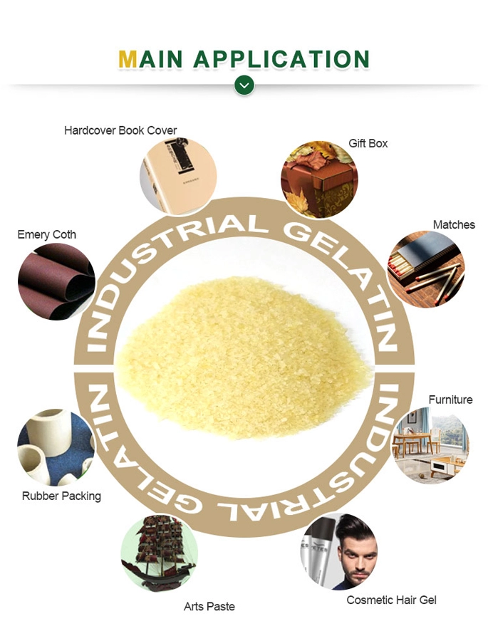 for sandpaper and textile industrial technical gelatin powder