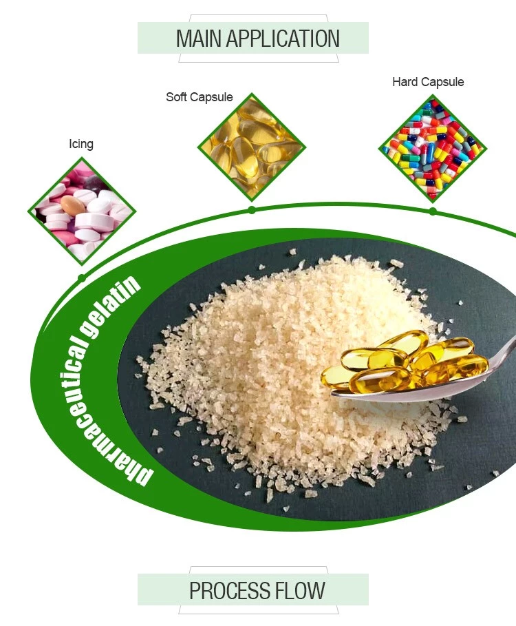 Manufacture good quality pharmaceutical grade gelatin powder