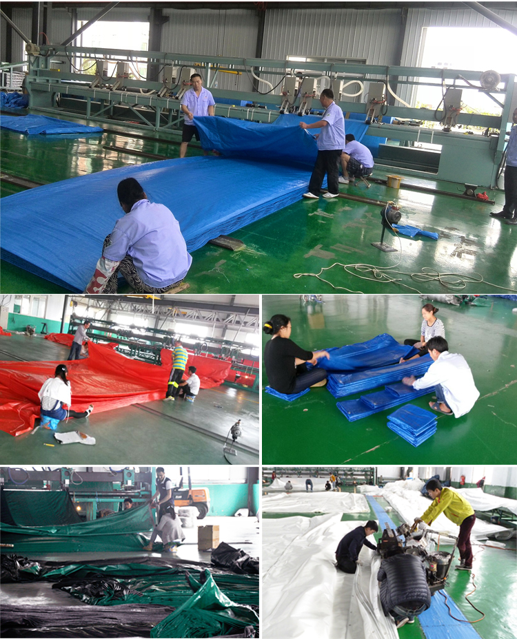 pe tarp factory.jpg pe tarp factory.jpg
