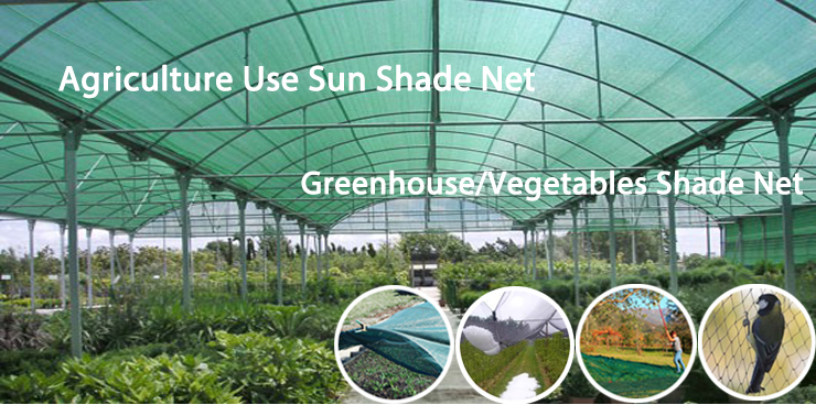 产品介绍sun shade net.jpg