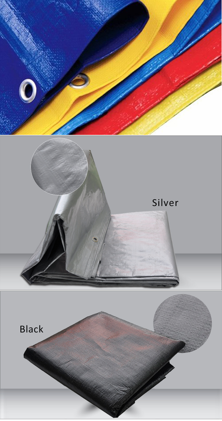 pe tarp detail.jpg pe tarp detail.jpg