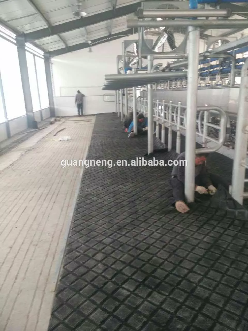 rubber horse mat/man and animal mating/cheap horse stall mats for sale