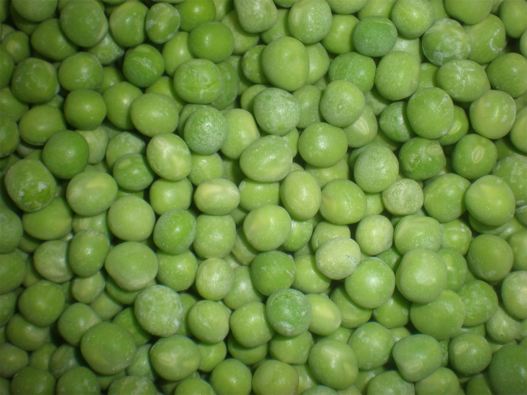 河北鼎晨食品青豆1.JPG 河北鼎晨食品青豆1.JPG