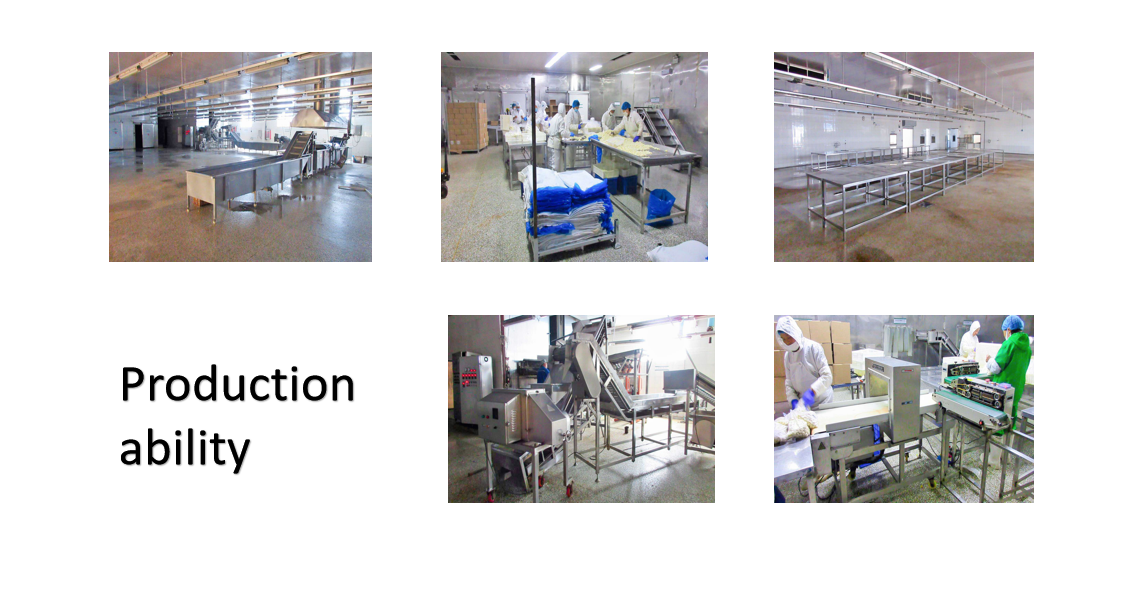 工厂实力展示.jpg 工厂实力展示.jpg