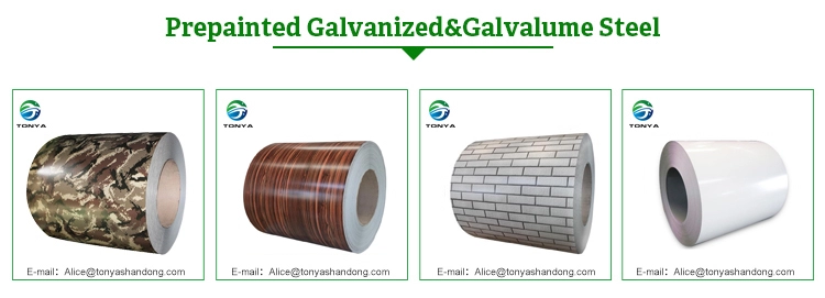 Hot sale color coated steel coil PPGI PPGL