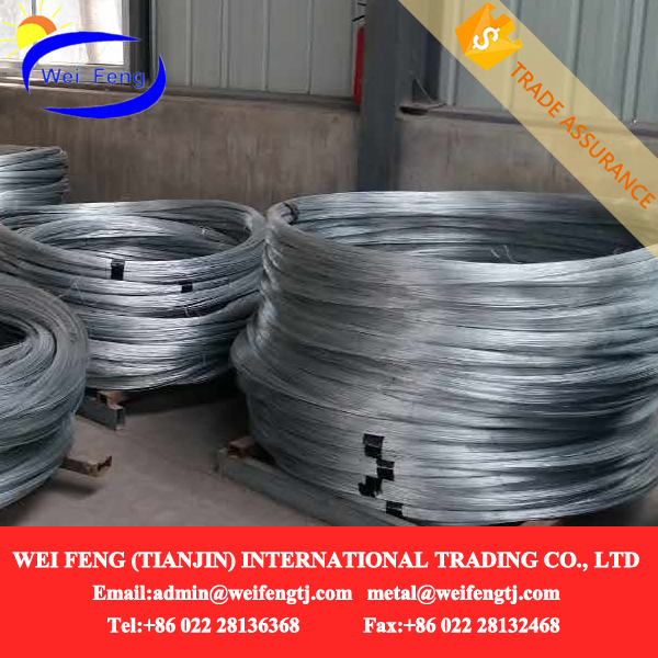 fishing wire (20).jpg fishing wire (20).jpg